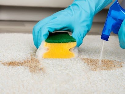 Carpet cleaning service in Hampstead NC