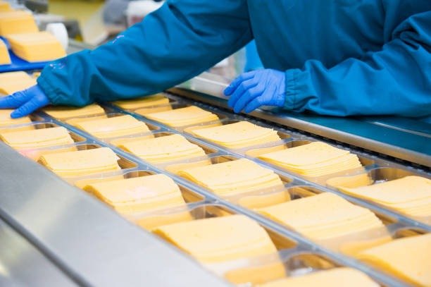 Cheese Manufacturing Plant Report 2024: Setup Details, Capital Investments and Expenses