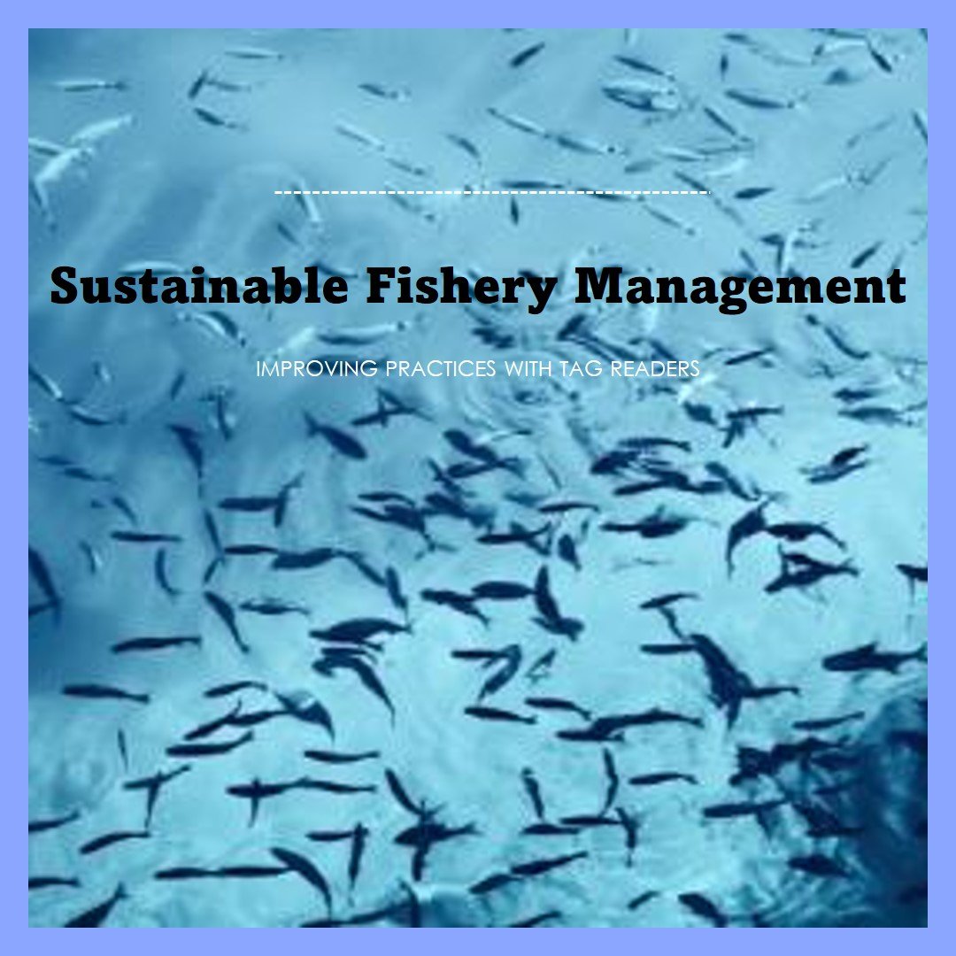 How Tag Readers Enhance Sustainable Fishery Management Practices