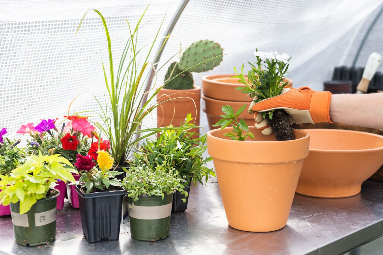 How Do You Start a Container Garden for Beginners?