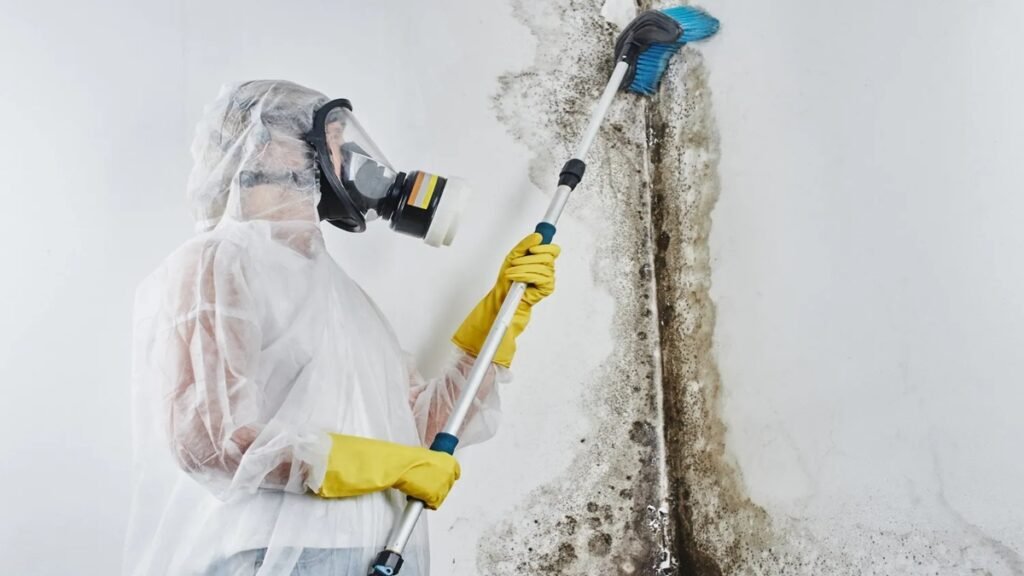 How To Get Rid Of Mold On Walls