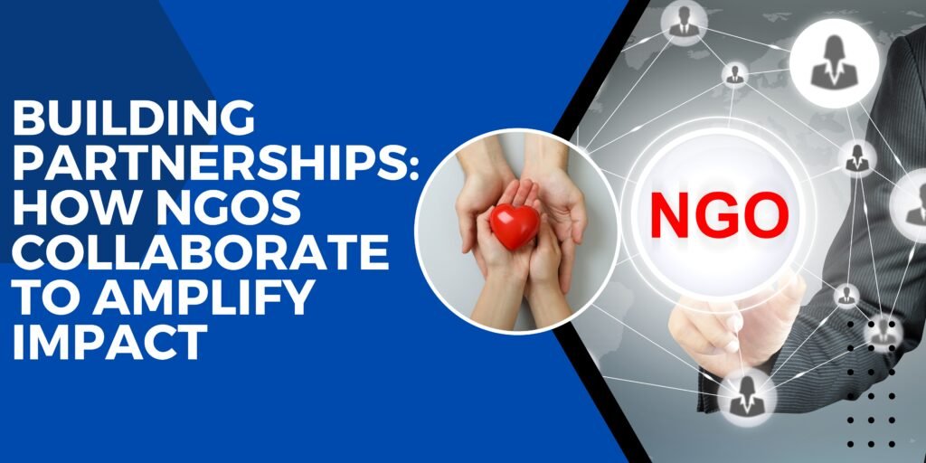 Building Partnerships: How NGOs Collaborate to Amplify Impact