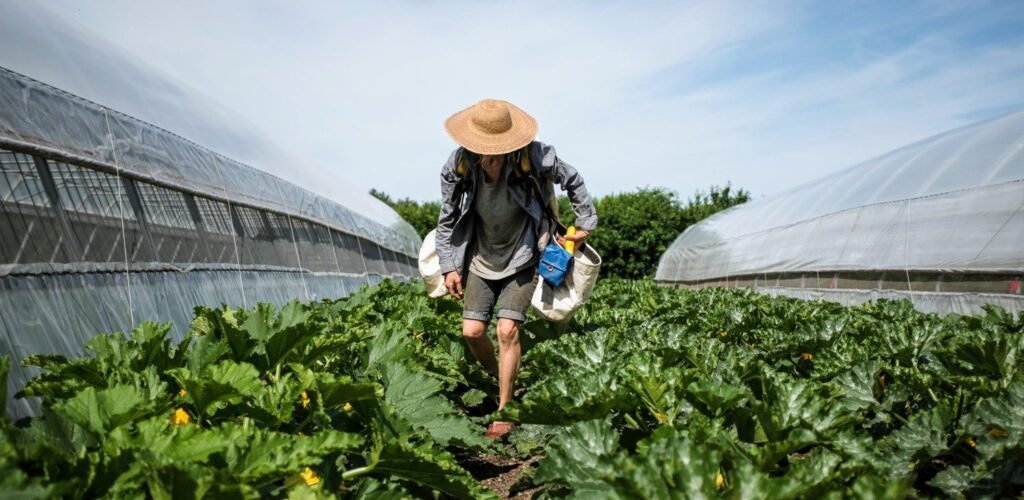 What Are the Best Practices for Weed Control in a Beginner's Garden?