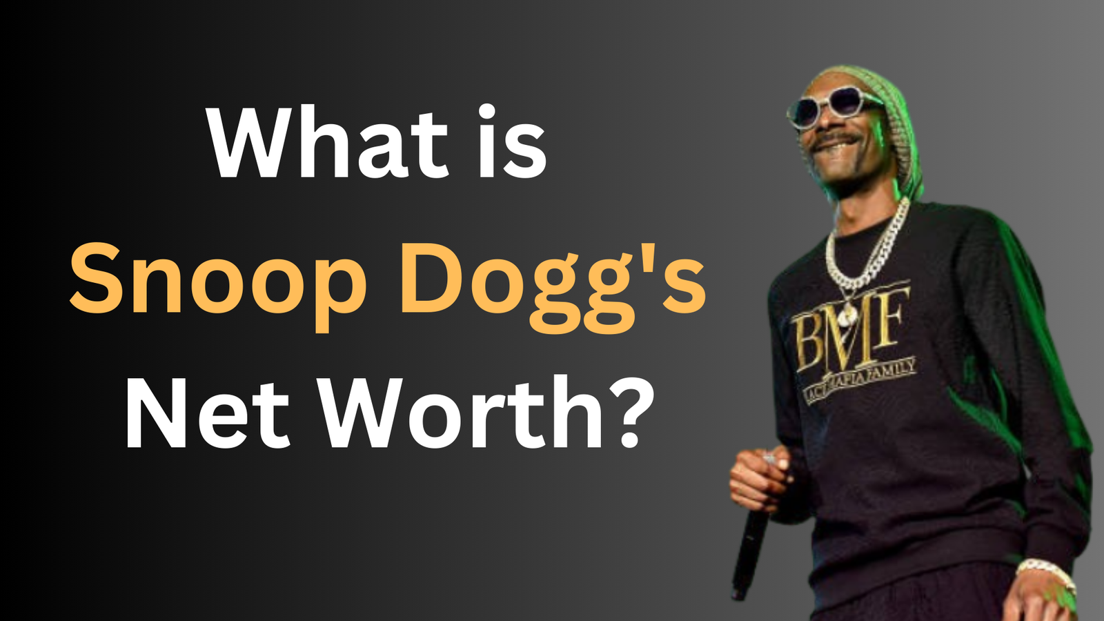 What is Snoop Dogg’s Net Worth? A Comprehensive Breakdown