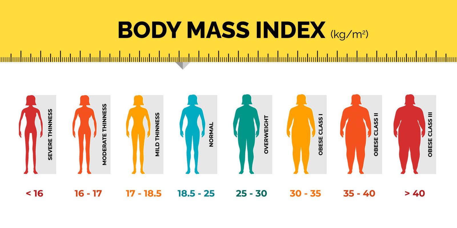 How Does A Bmi Calculator Determine An Individual’s Body Mass Index?