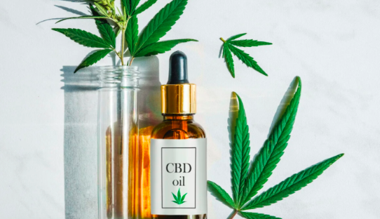 The Lifespan of CBD Oil: How Long Does It Stay Effective?
