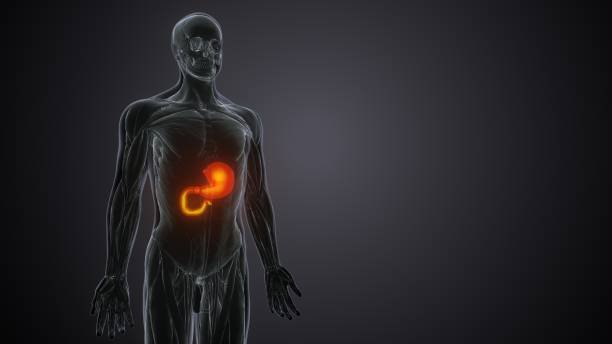 Discover the Allurion Gastric Balloon Difference in Abu Dhabi