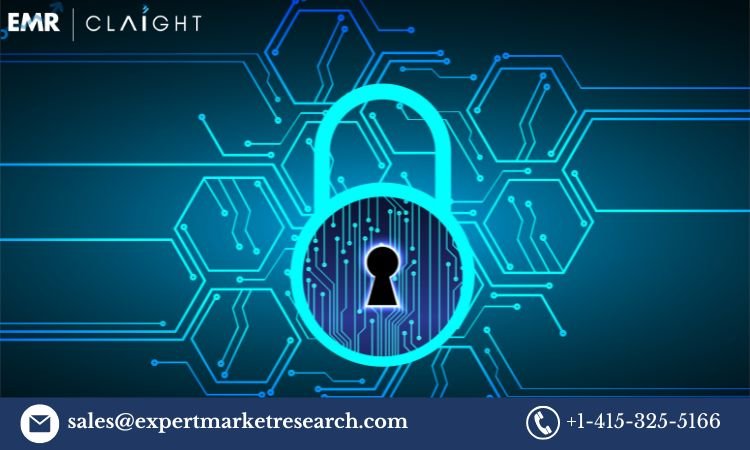 Network Security Market