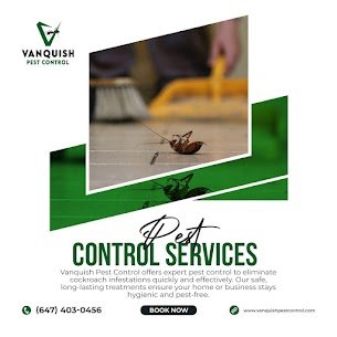 Comprehensive Pest Control Services for a Safer Environment