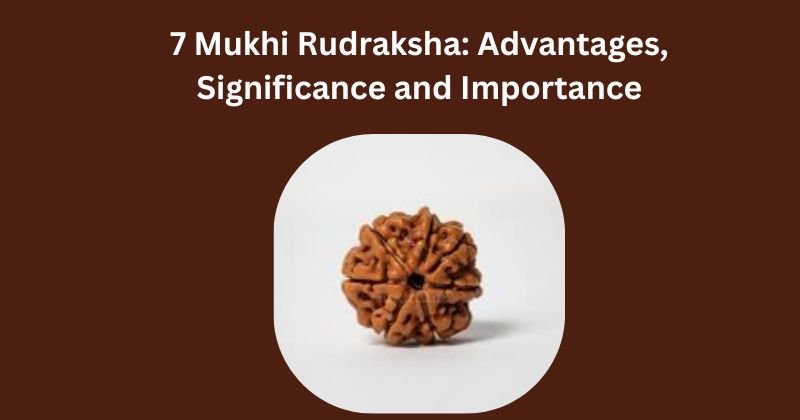 7 Mukhi Rudraksha: Advantages, Significance and Importance