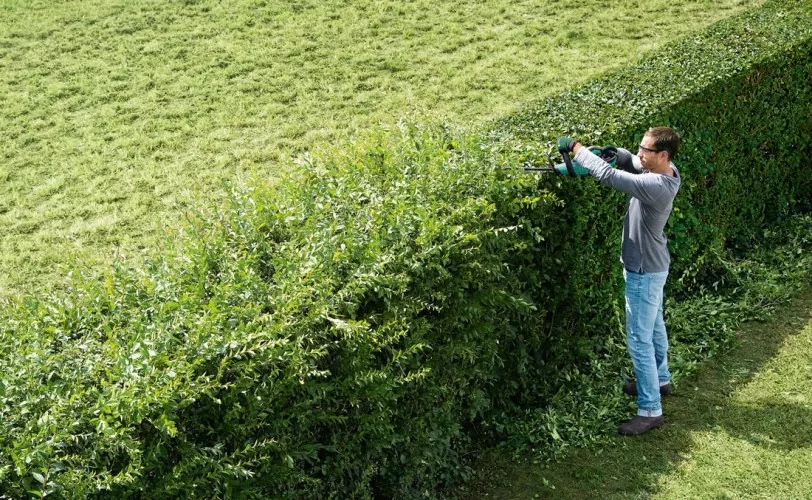 Hedge-Trimmer