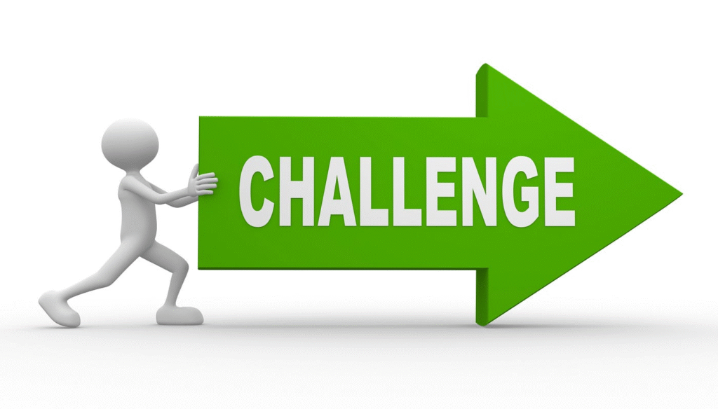 Insurance Software Development Challenges