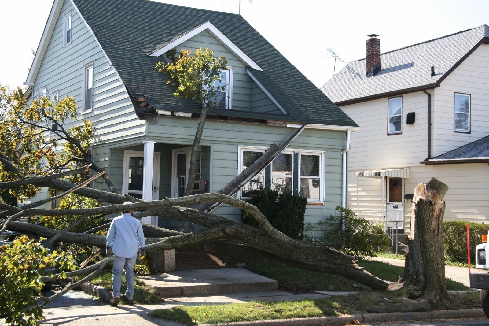 storm damage cleanup near mep Ewing ​