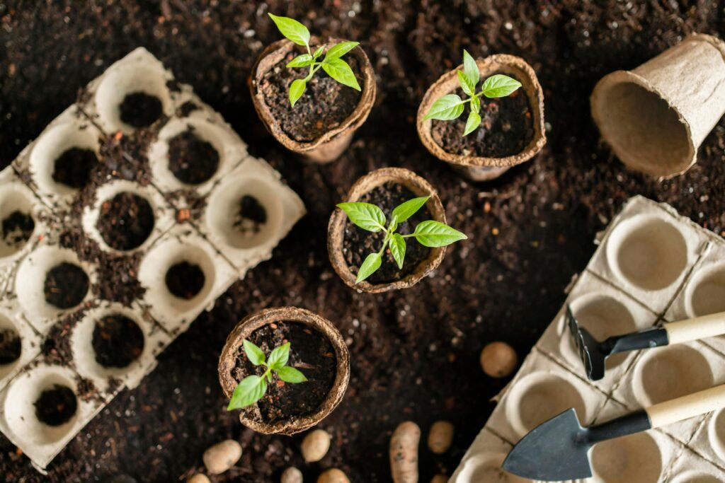 Organic Fertilizer Companies In UAE, Vermicompost