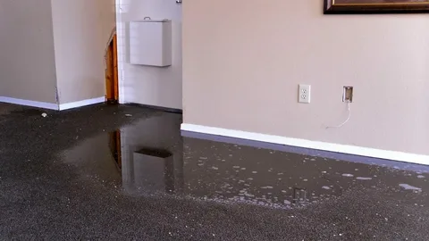 water damage